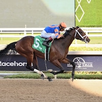Grande wins at Gulfstream Park. 