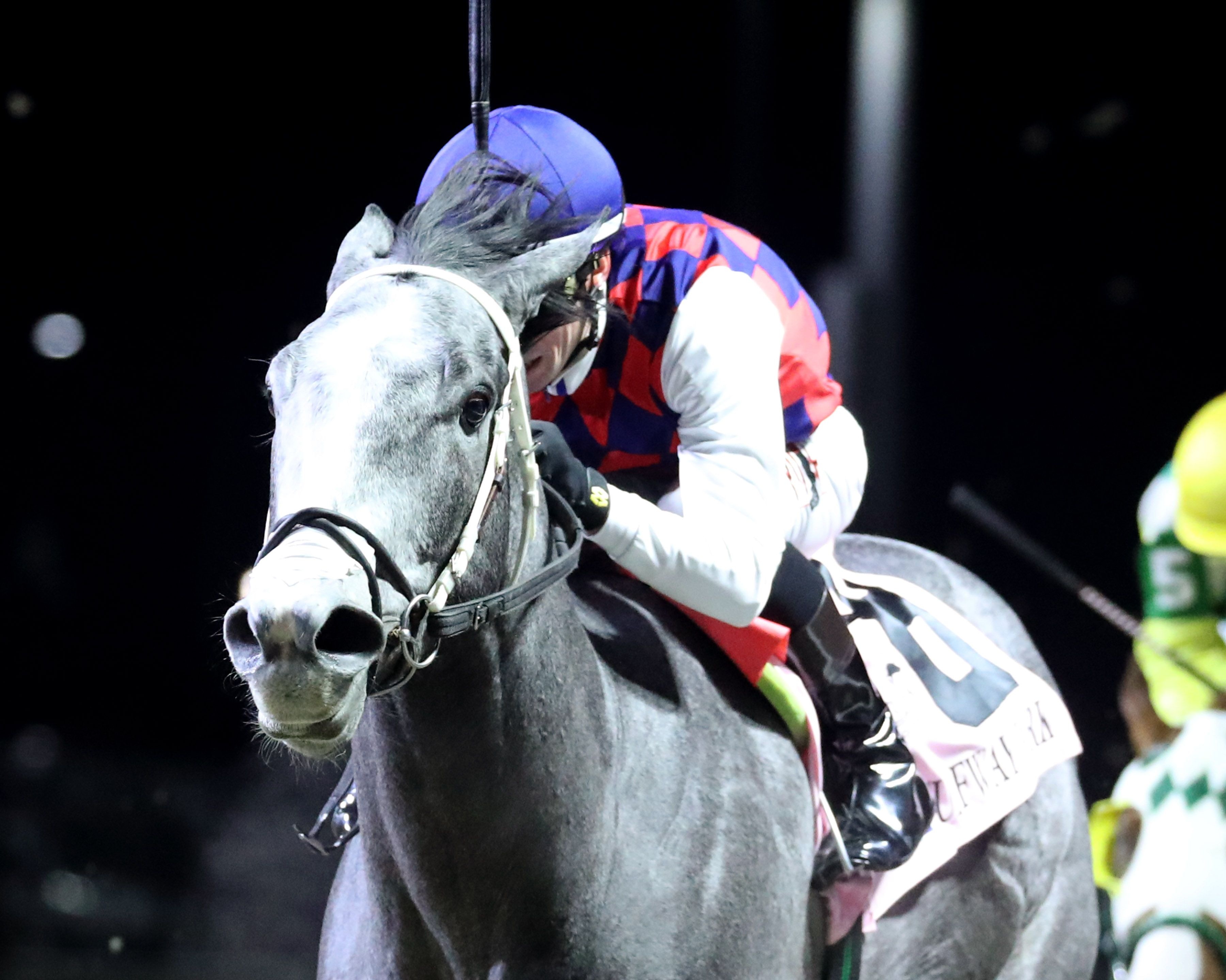 Great White upsets the John Battaglia Memorial