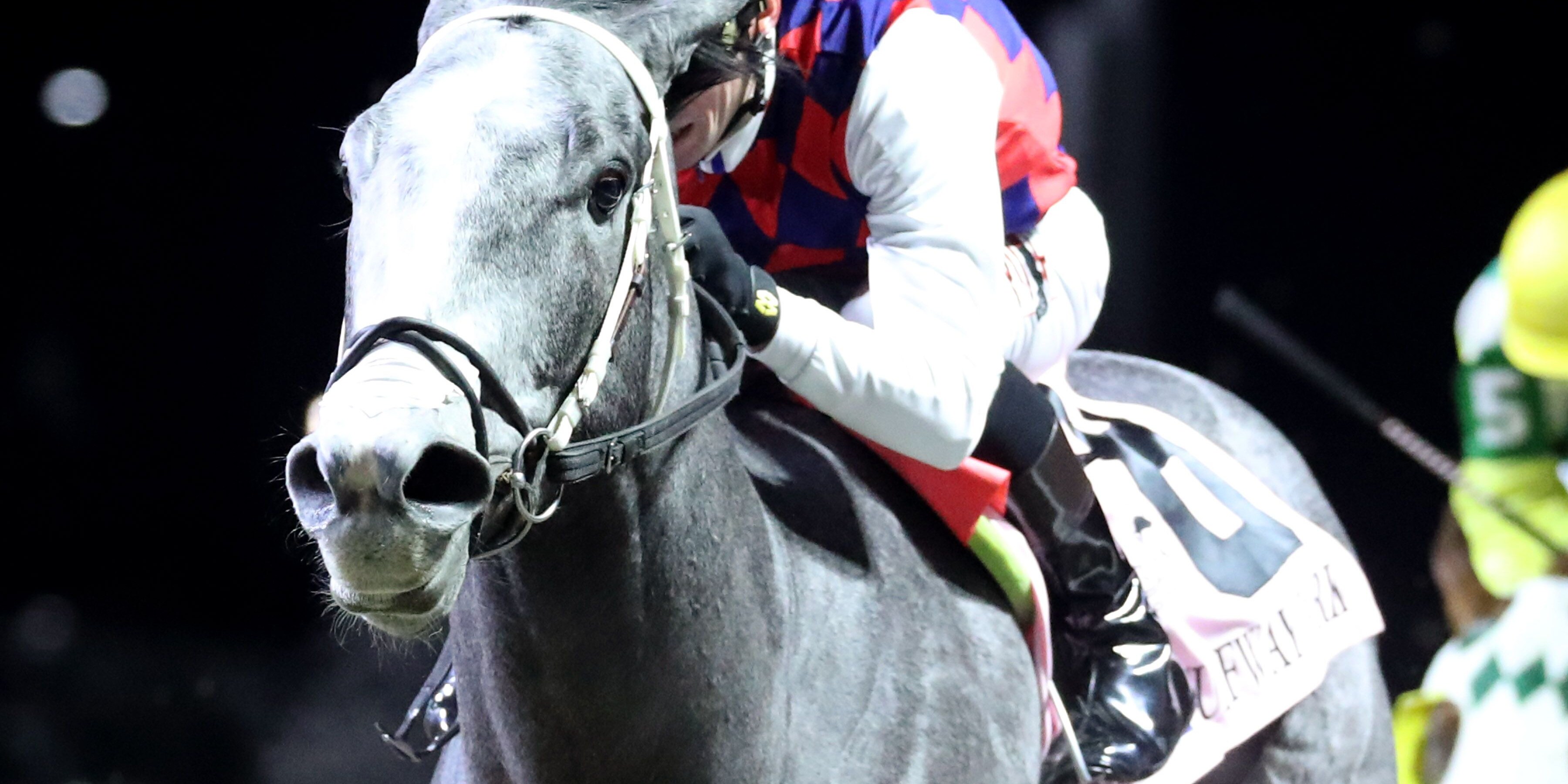 Great White upsets the John Battaglia Memorial