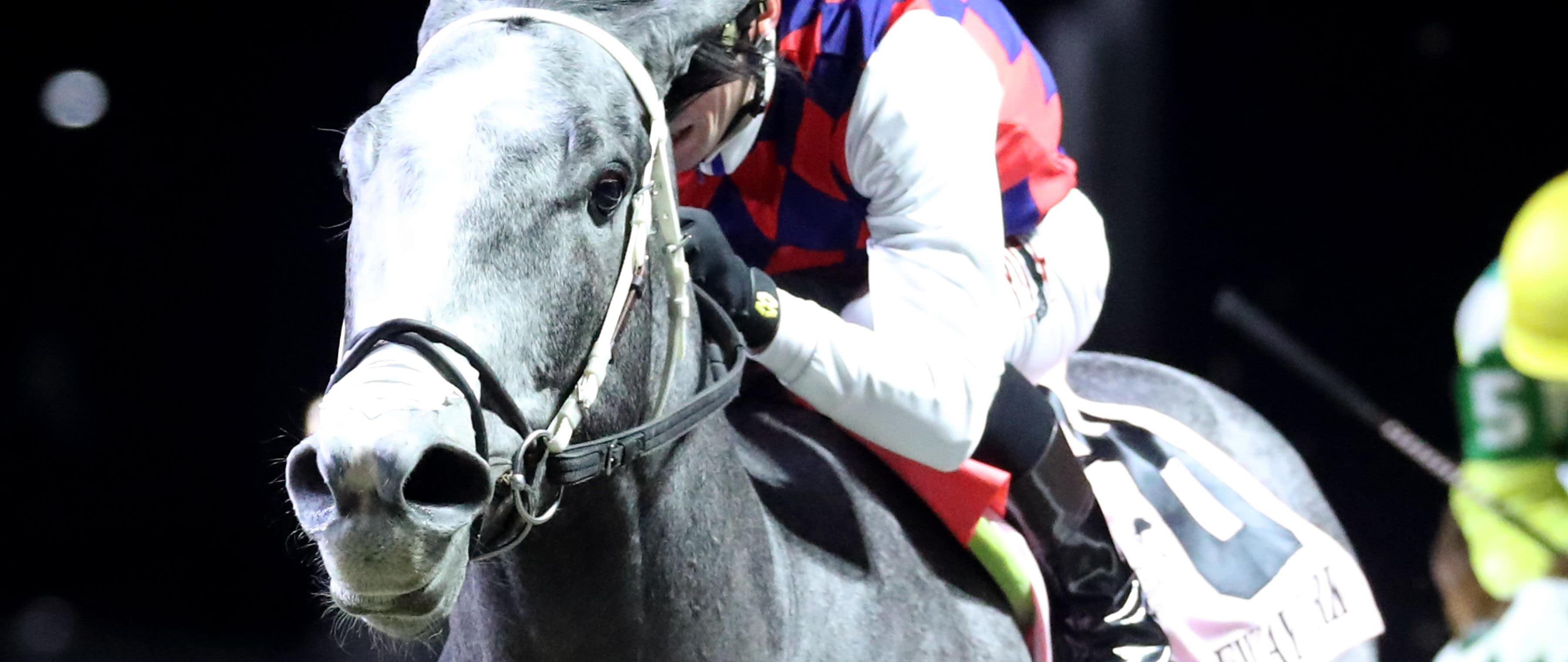 Great White upsets the John Battaglia Memorial