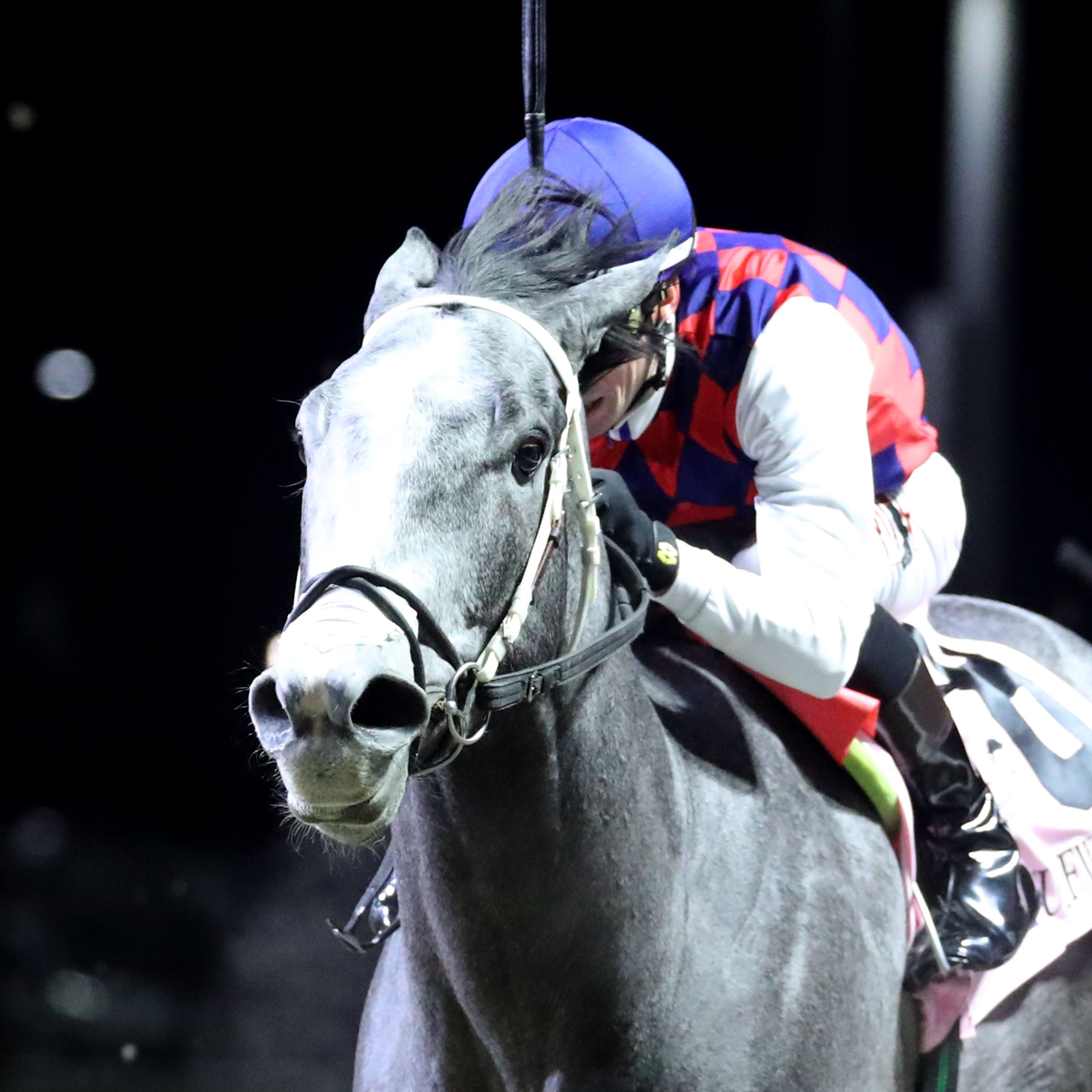 Great White upsets the John Battaglia Memorial