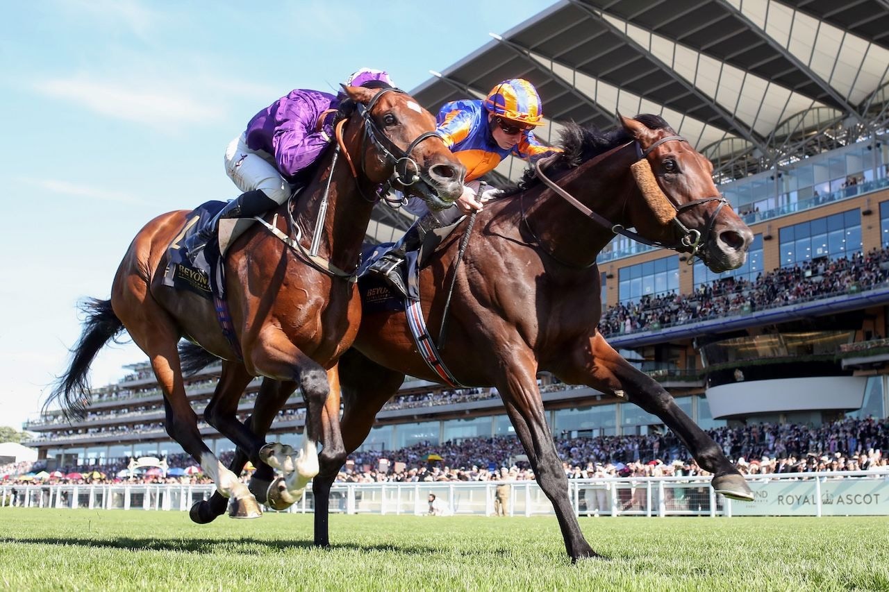 Green Carrera wins the Royal Ascot. 