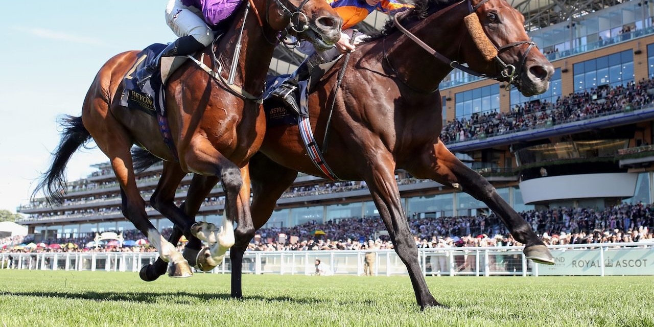 Green Carrera wins the Royal Ascot. 