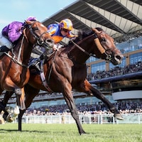 Green Carrera wins the Royal Ascot. 