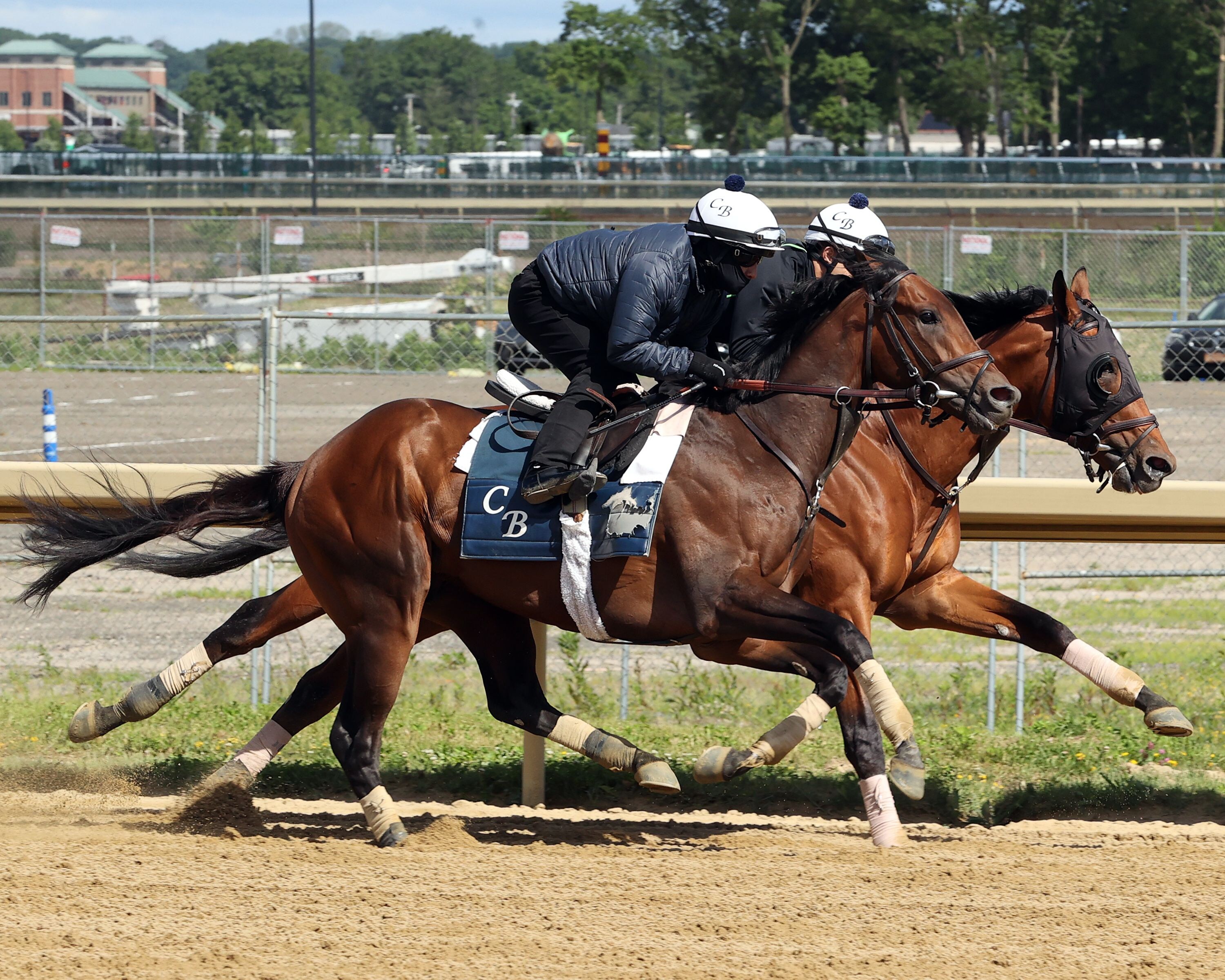 Growth Equity trains for the Belmont Stakes (Photo by Coglianese Photos/Susie Raisher)