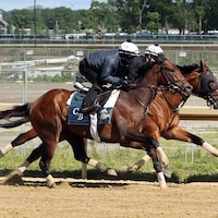 Growth Equity trains for the Belmont Stakes (Photo by Coglianese Photos/Susie Raisher)