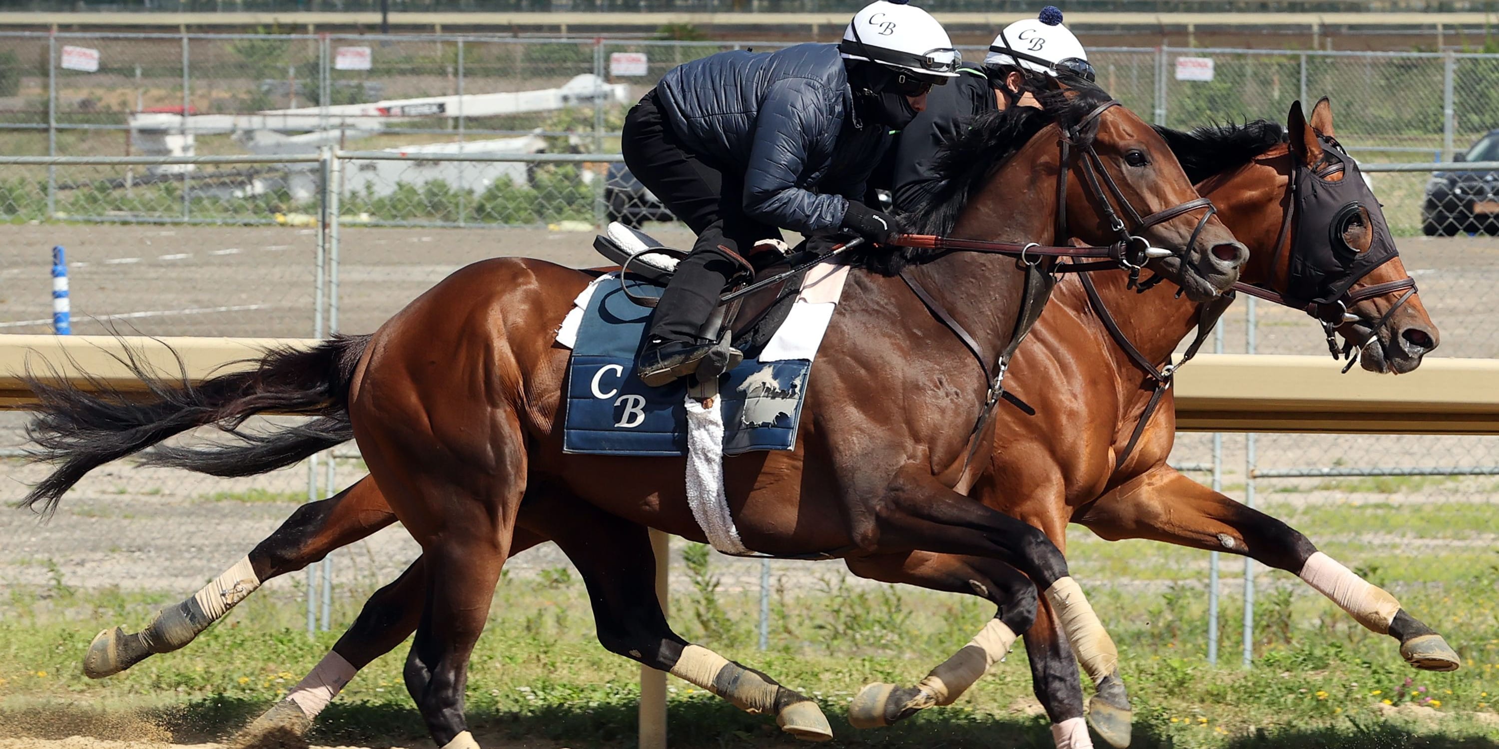 Growth Equity trains for the Belmont Stakes (Photo by Coglianese Photos/Susie Raisher)