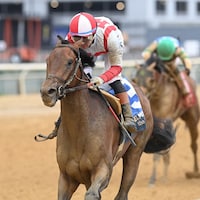 Growth Equity wins the Peter Pan (G3) at Aqueduct.