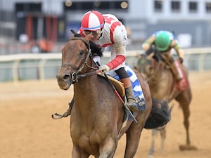 Growth Equity wins the Peter Pan (G3) at Aqueduct.