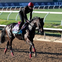 Gstaad training for Breeders' Cup Juvenile Turf at Del Mar