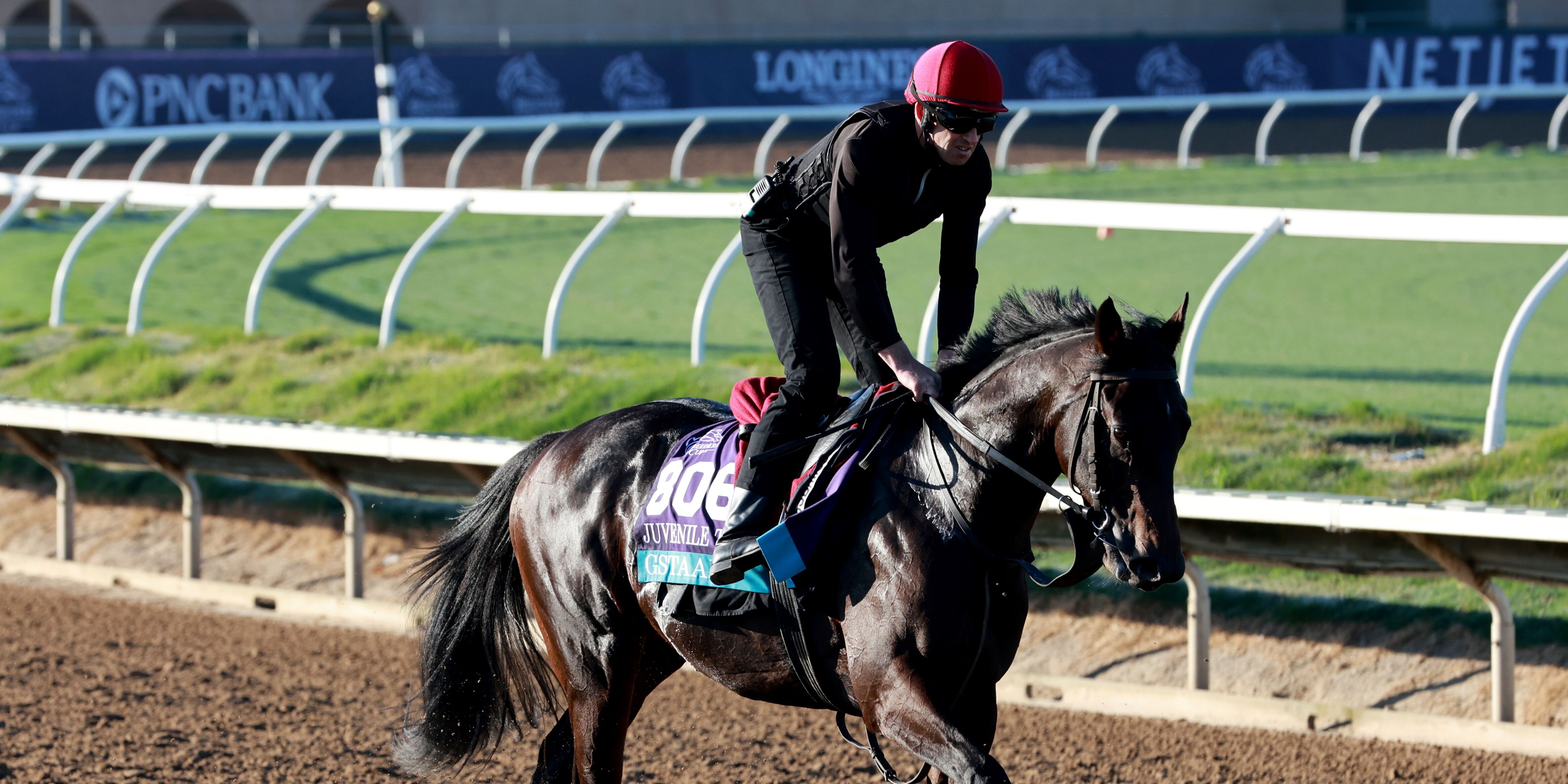 Gstaad training for Breeders' Cup Juvenile Turf at Del Mar