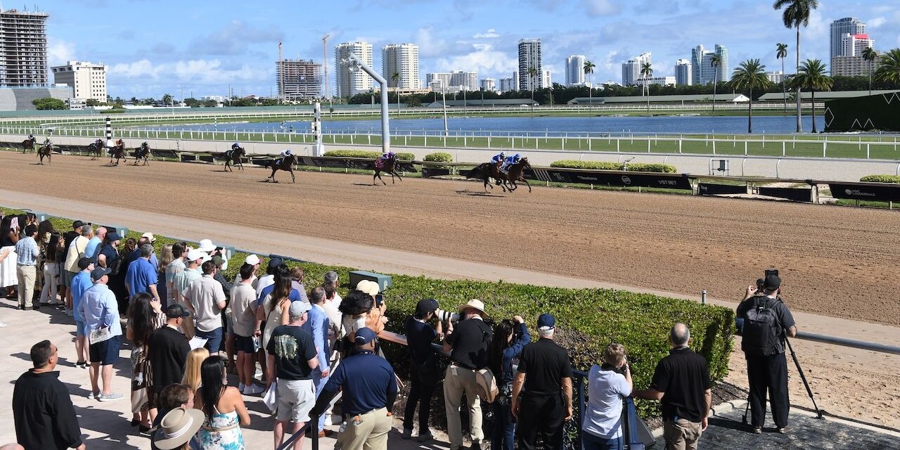 Racing at Gulfstream Park