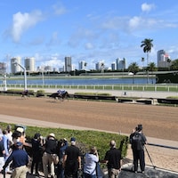 Racing at Gulfstream Park