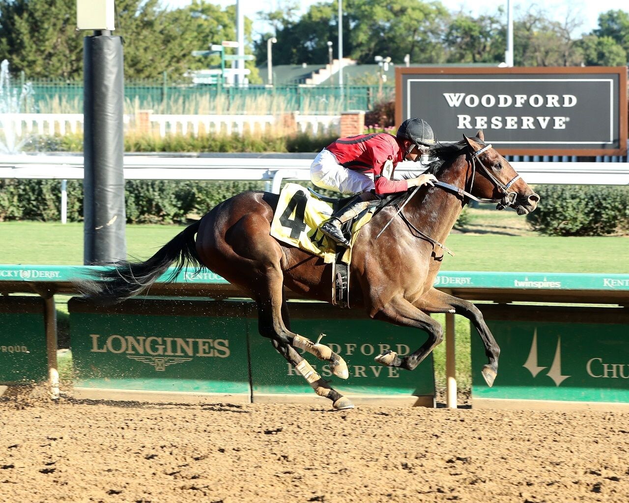 Handsome Pants winning his debut at Churchill Downs (Photo by Coady Media)