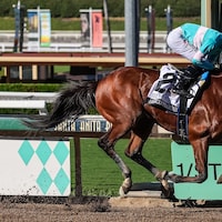 Hughes wins the American Pharoah (G1) at Santa Anita.