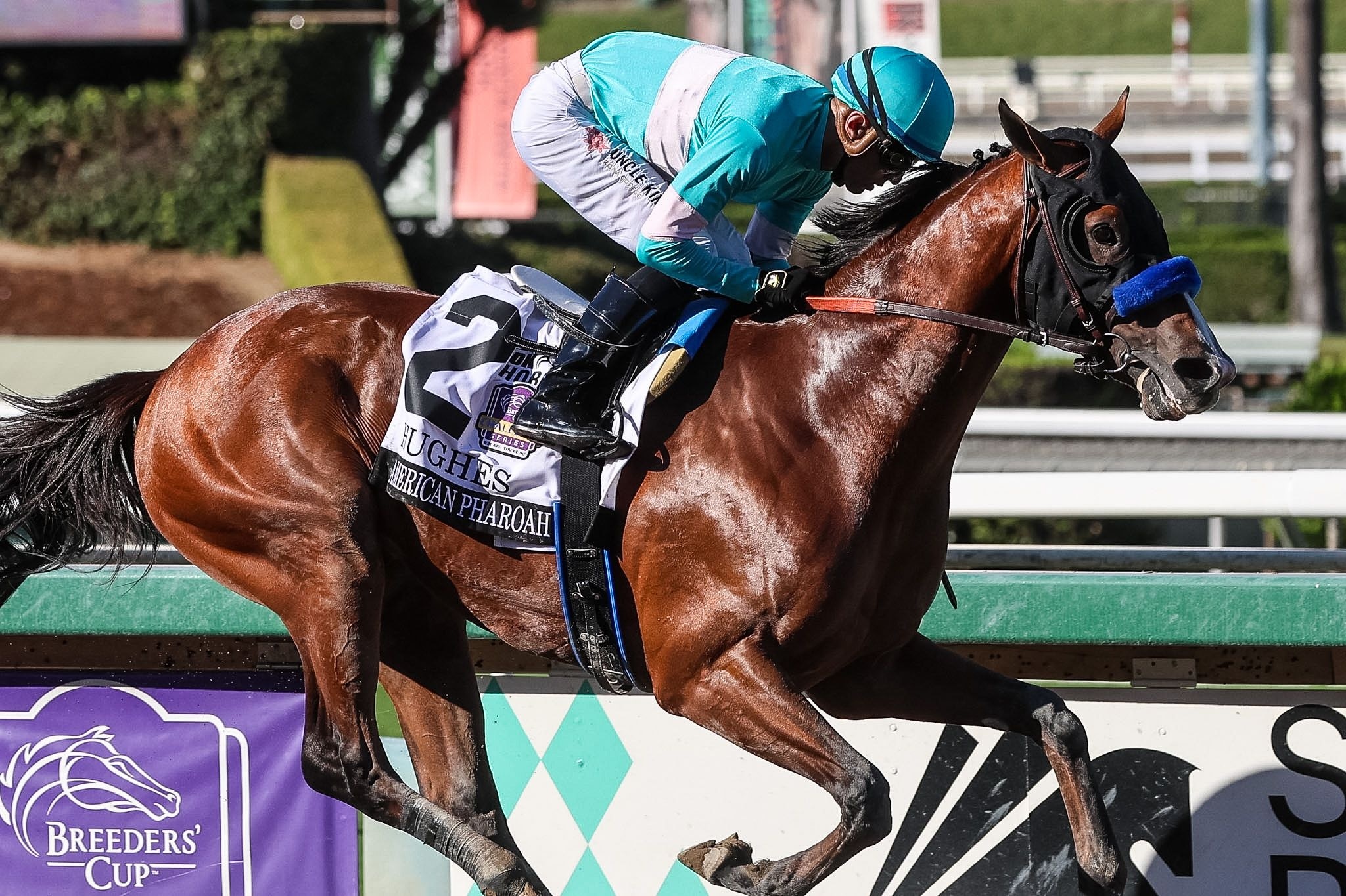 Hughes wins the American Pharoah (G1) at Santa Anita.