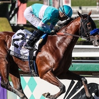 Hughes wins the American Pharoah (G1) at Santa Anita.