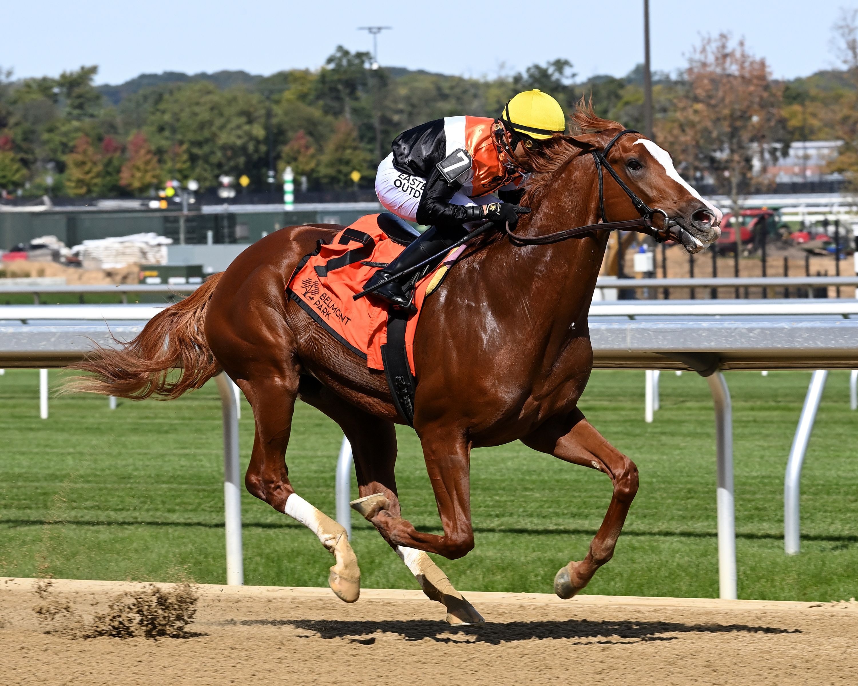 Hullabaloo Ray Ray breaks his maiden at Belmont Park.