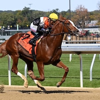 Hullabaloo Ray Ray breaks his maiden at Belmont Park.