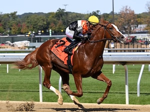 Hullabaloo Ray Ray breaks his maiden at Belmont Park.