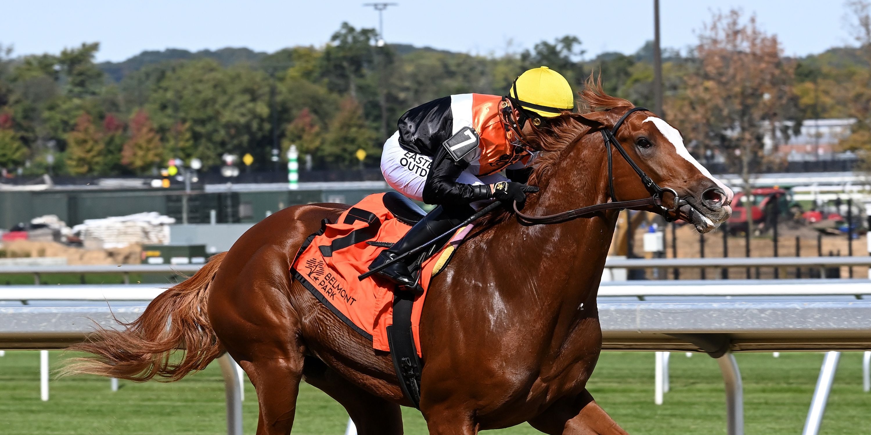 Hullabaloo Ray Ray breaks his maiden at Belmont Park.