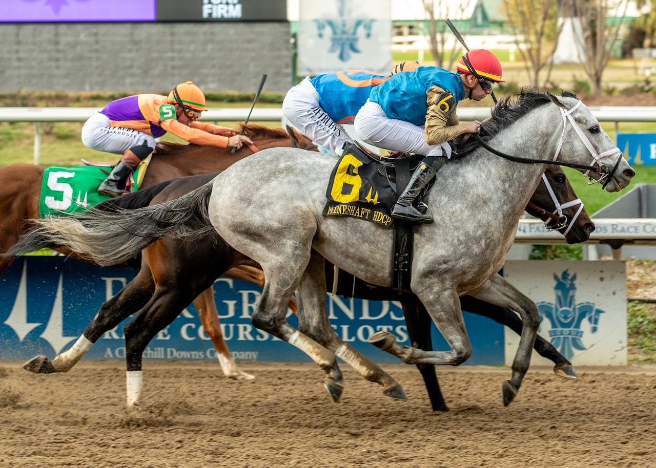 Hit Show wins the Mineshaft Stakes at Fair Grounds