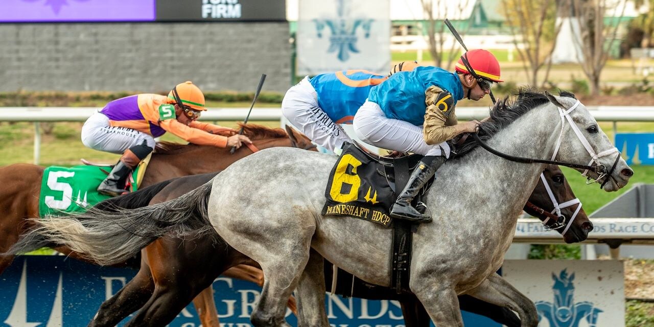 Hit Show wins the Mineshaft Stakes at Fair Grounds