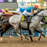 Hit Show wins the Mineshaft Stakes at Fair Grounds