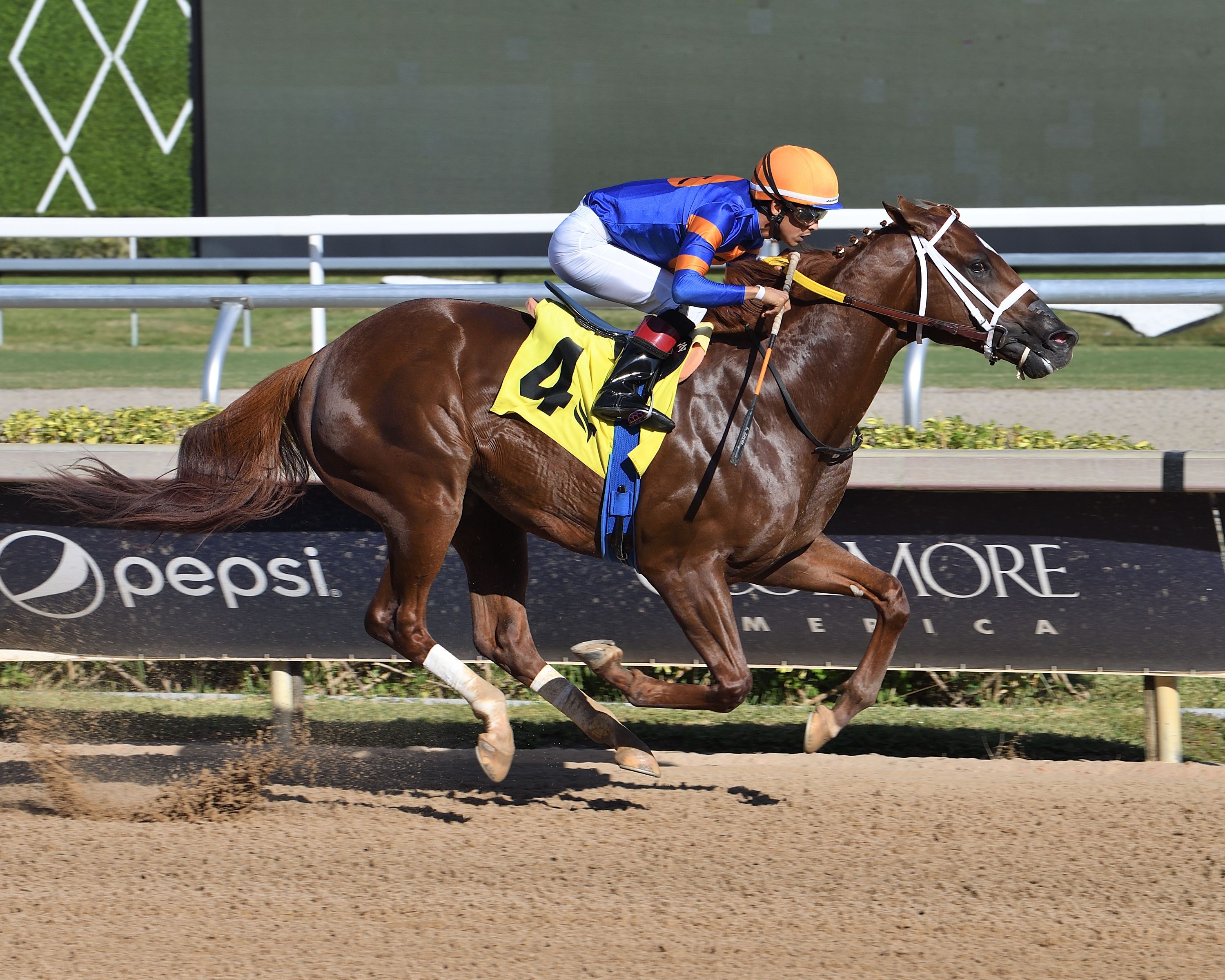 Hammond wins the Juvenile Sprint.