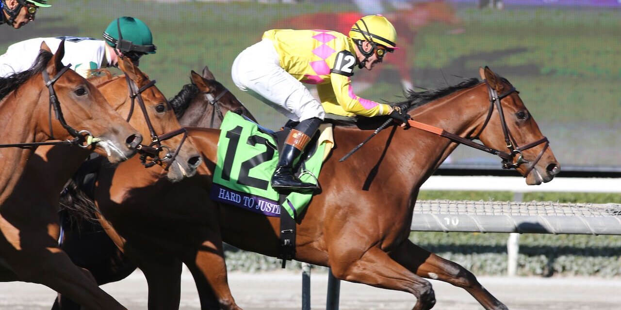 Hard to Justify at Santa Anita (Photo by Horsephotos.com)