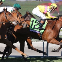 Hard to Justify at Santa Anita (Photo by Horsephotos.com)