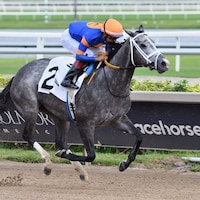 Haulin Ice wins the Princess Rooney at Gulfstream Park. 