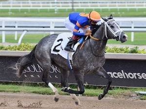 Haulin Ice wins the Princess Rooney at Gulfstream Park.