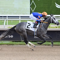 Haulin Ice wins the Princess Rooney at Gulfstream Park.
