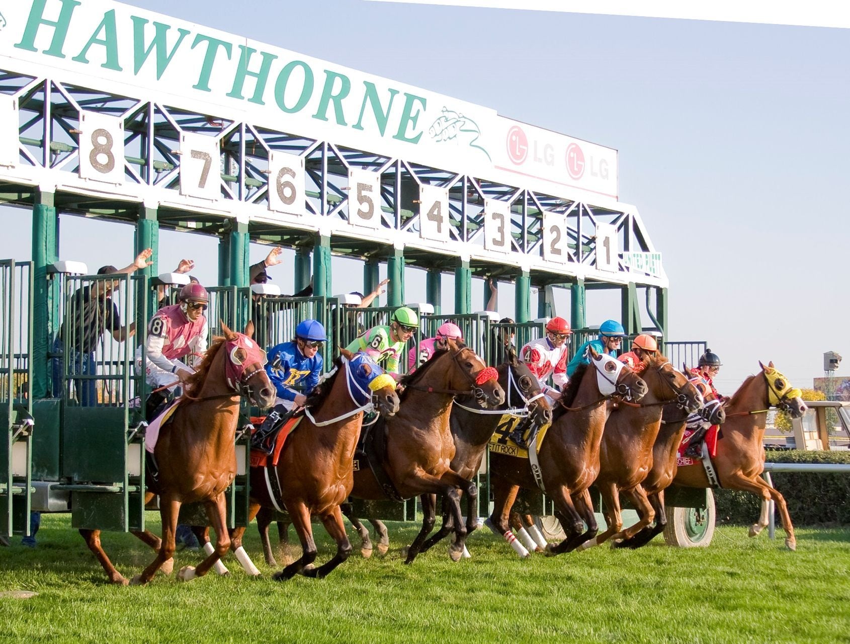 Hawthorne