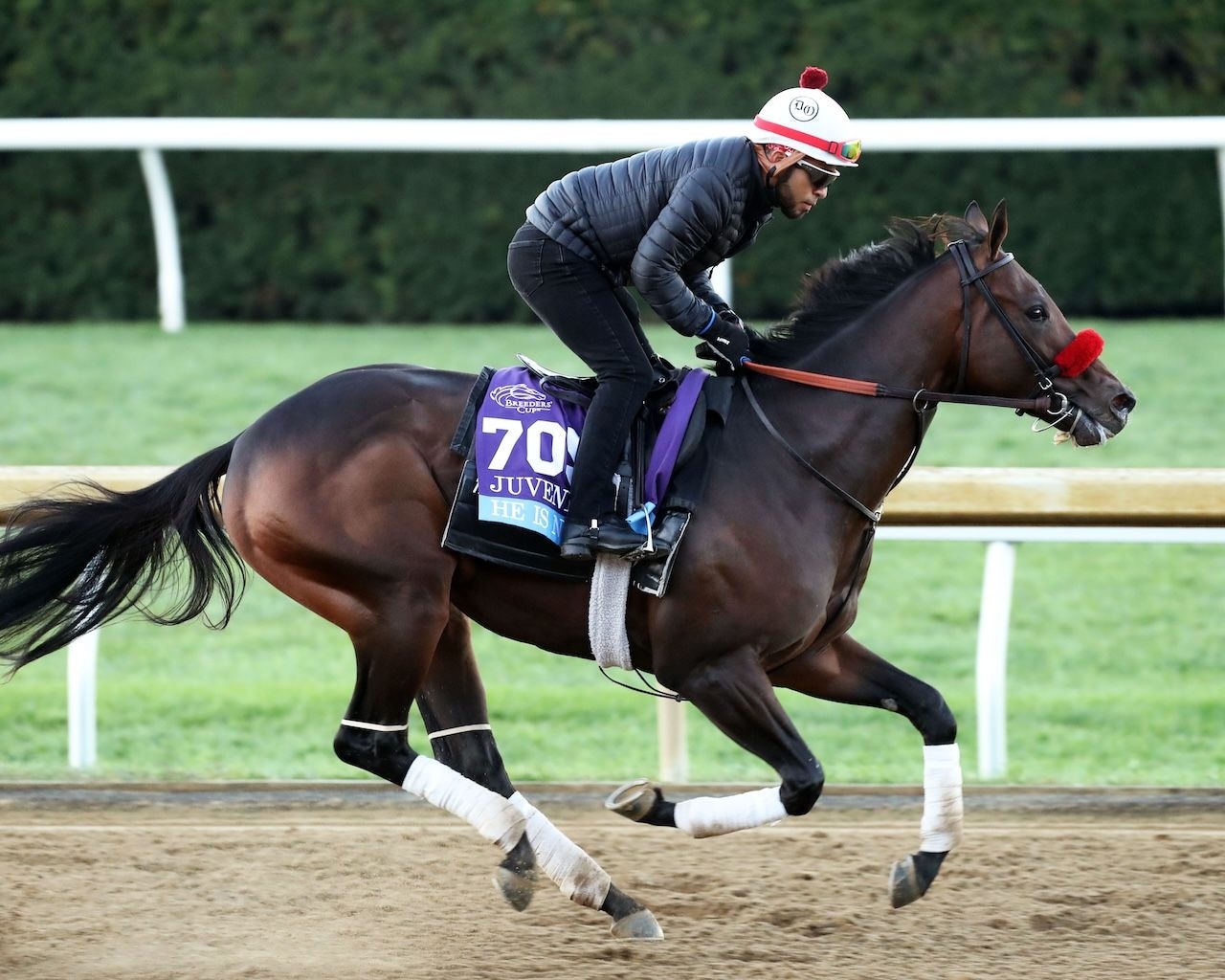 He is No Lie work ahead of Breeders' Cup weekend at Keeneland.