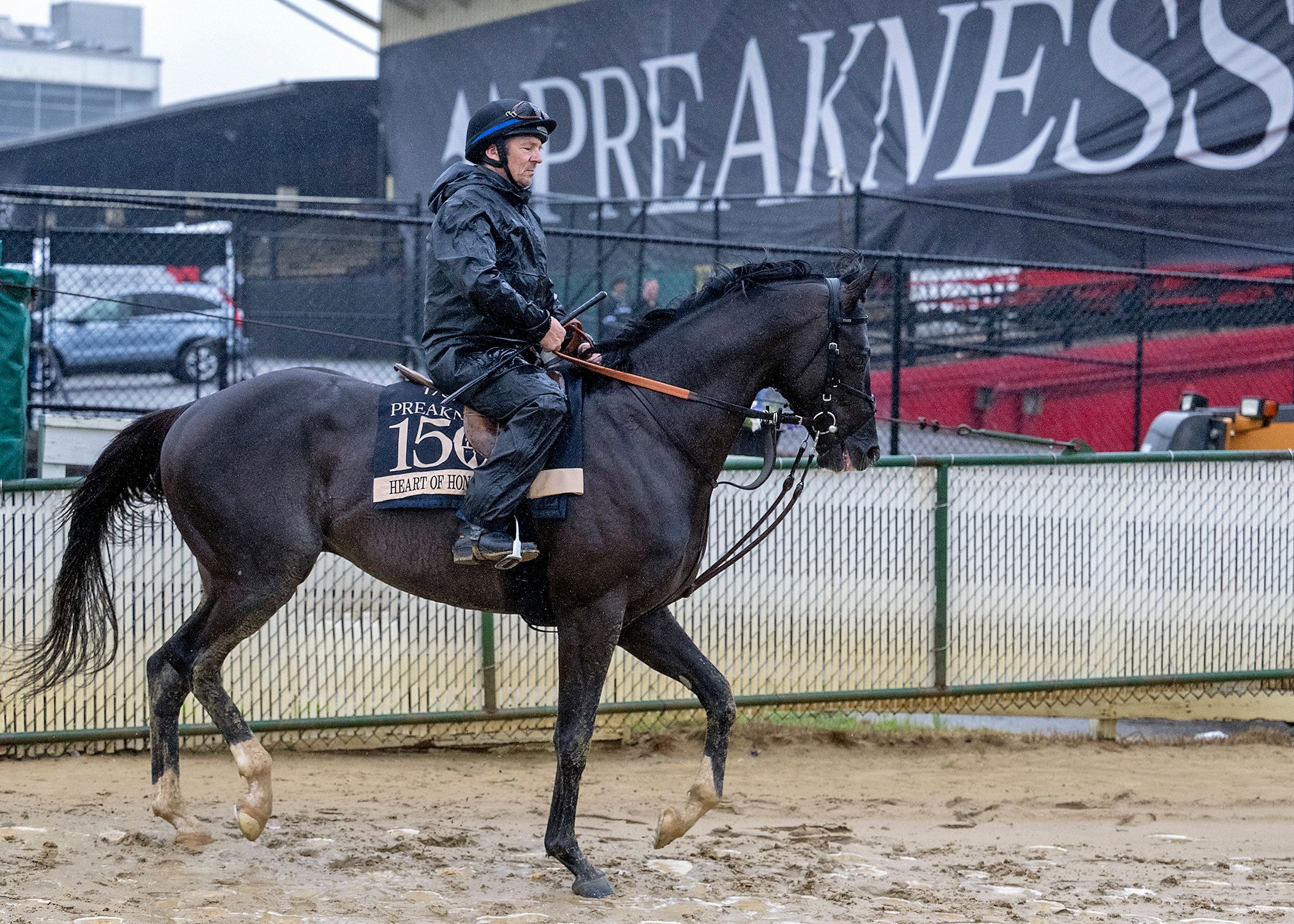 Heart of Honor at Pimlico (Photo by MJC/Jerry Dzierwinski)