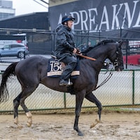 Heart of Honor at Pimlico (Photo by MJC/Jerry Dzierwinski)