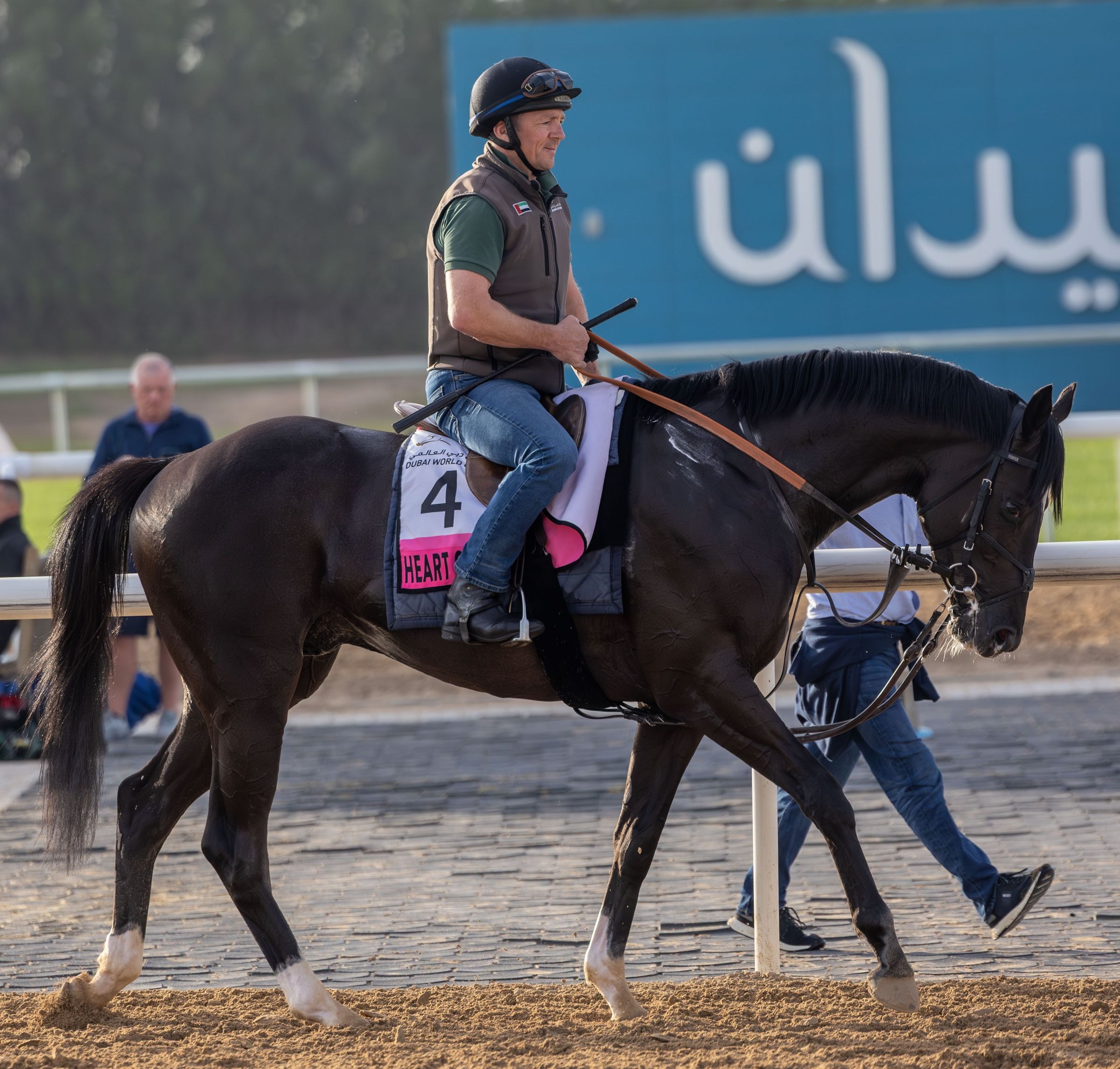 Heart of Honor during morning training ahead of the UAE Derby
