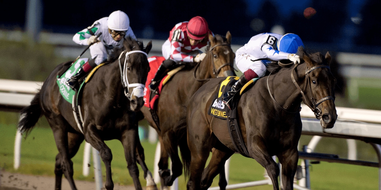 He's Not Joking wins the Grey S. at Woodbine.