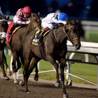 He's Not Joking wins the Grey S. at Woodbine.