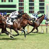 Higgins Boat wins at Ellis Park (Photo by Coady Media)
