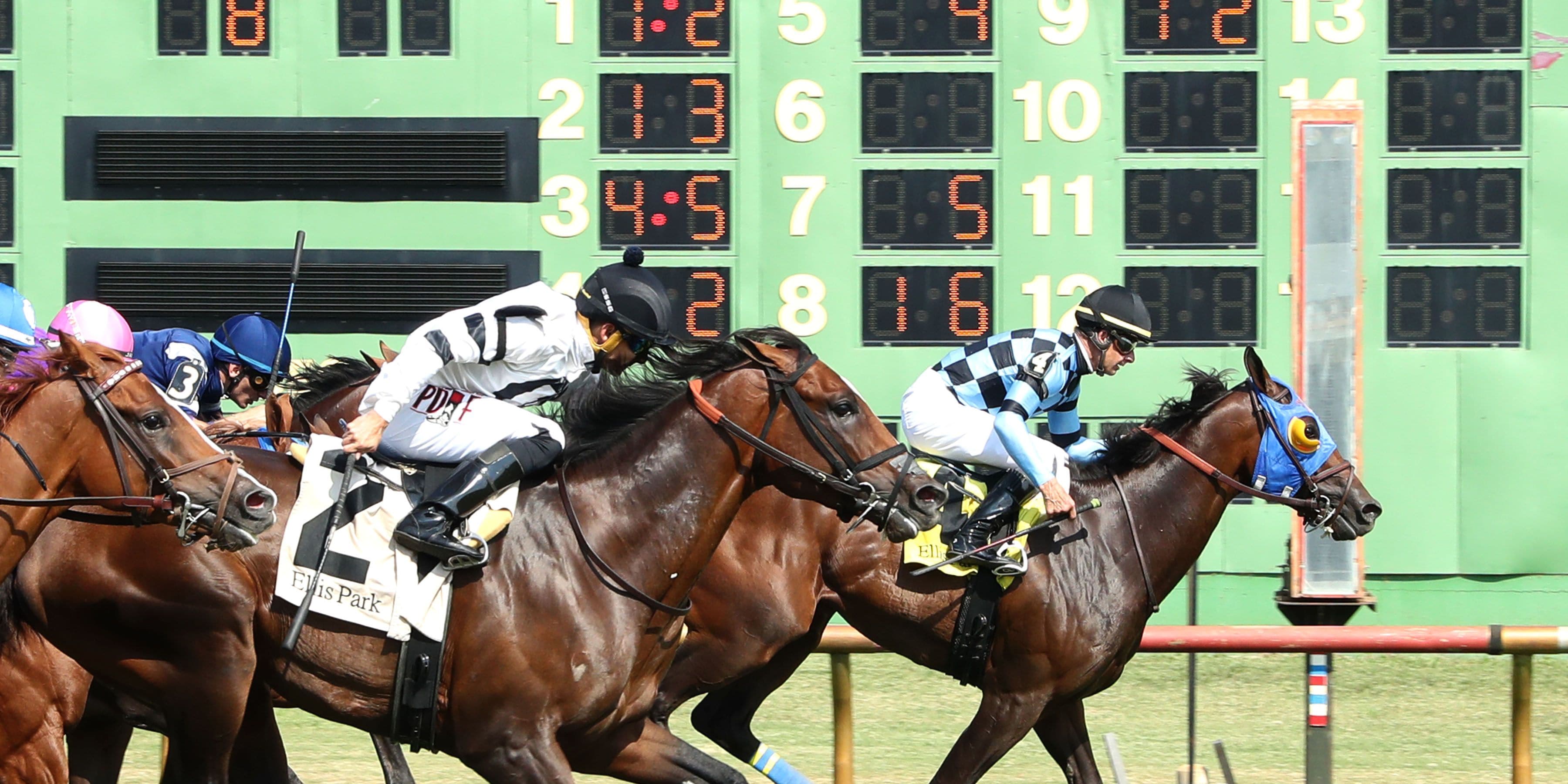 Higgins Boat wins at Ellis Park (Photo by Coady Media)