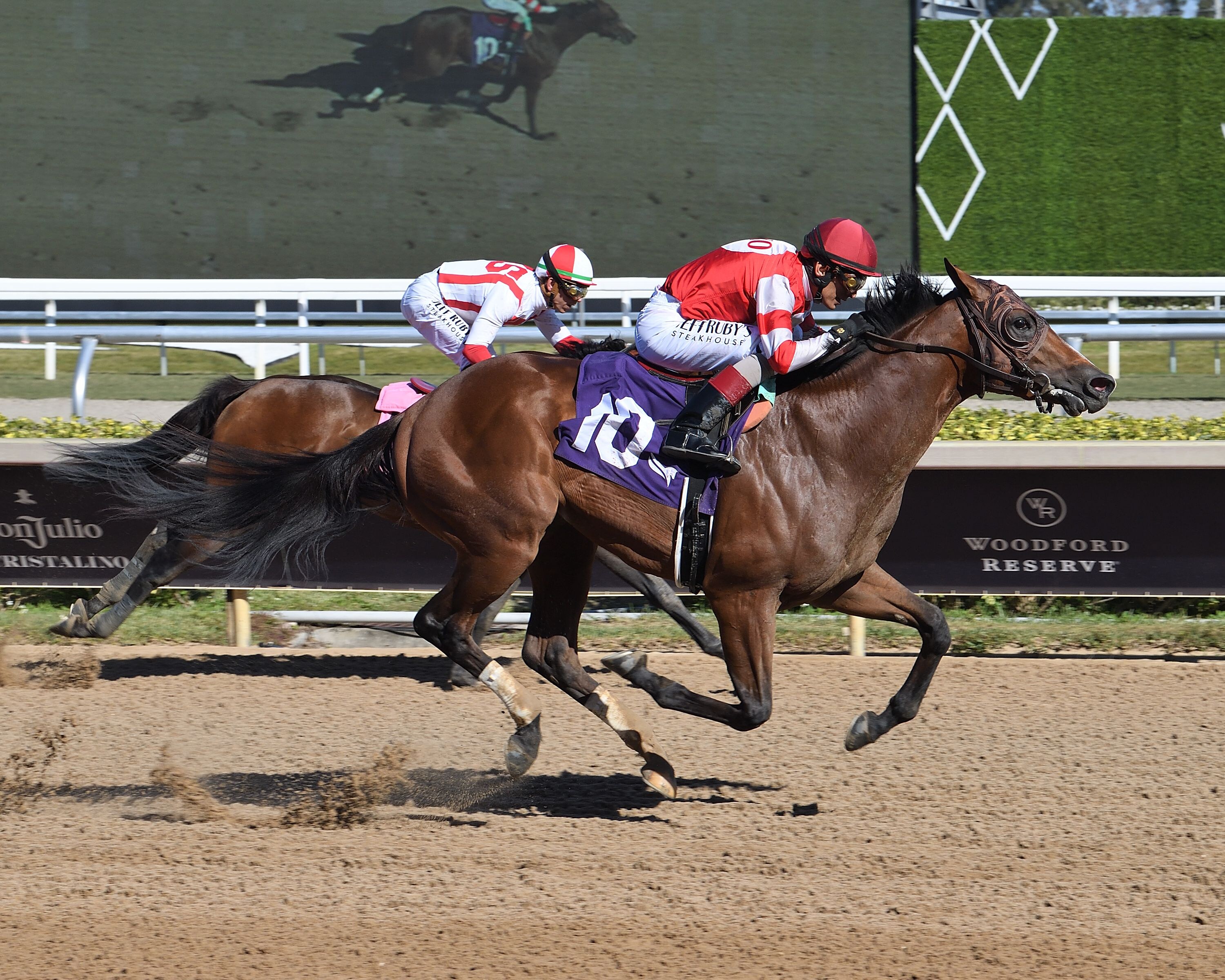 High Camp wins at Gulfstream Park. 