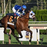 Highland Falls winning the Jockey Club Gold Cup (G1) at Saratoga (Photo by Coglianese Photos)