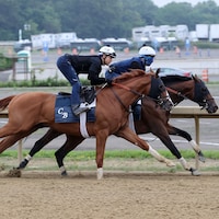 Hill Road training at Saratoga for the Belmont Stakes (Photo by Coglianese Photos/Susie Raisher)