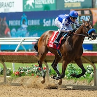 Himika dominated the Sorrento