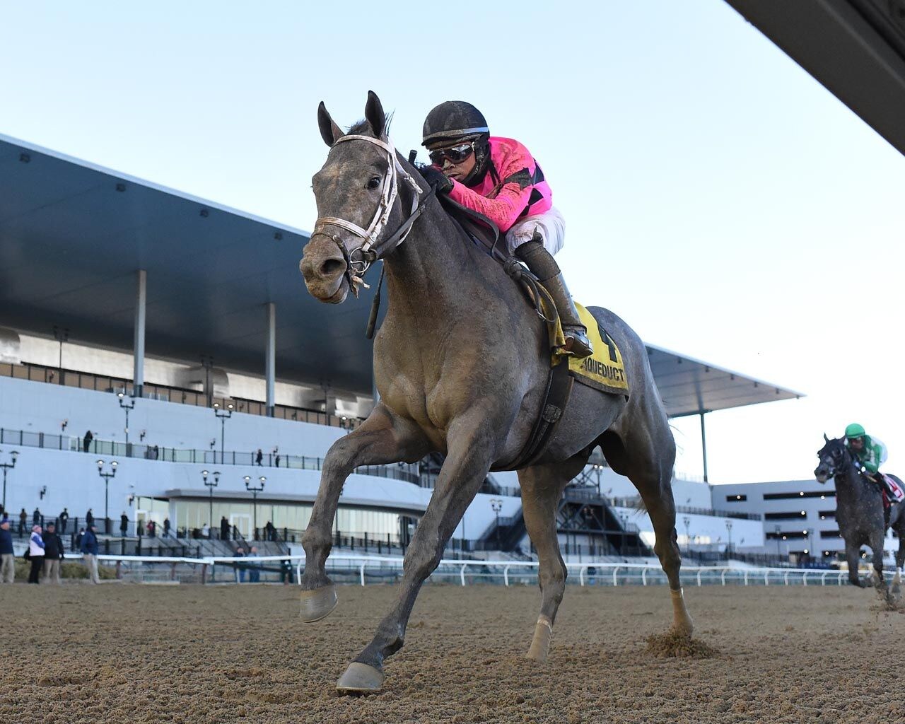 Hit Show winning the Withers (G3) at Aqueduct (Photo by Coglianese Photos)