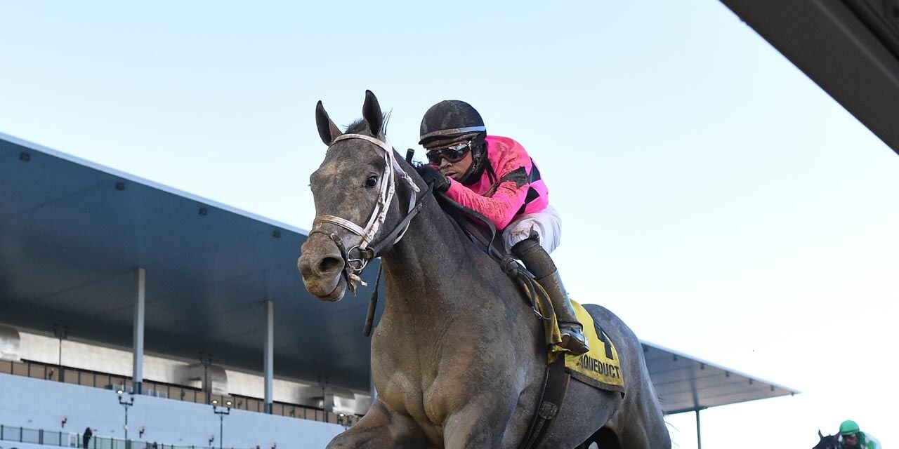 Hit Show winning the Withers (G3) at Aqueduct (Photo by Coglianese Photos)