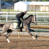 Hit Show trains at Churchill Downs 2023